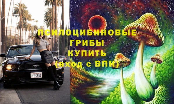 ECSTASY Армянск