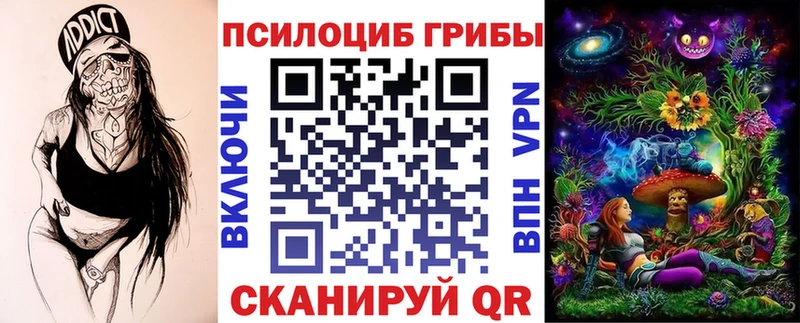 дарк нет наркотические препараты  магазин продажи   Полярный  Галлюциногенные грибы GOLDEN TEACHER 